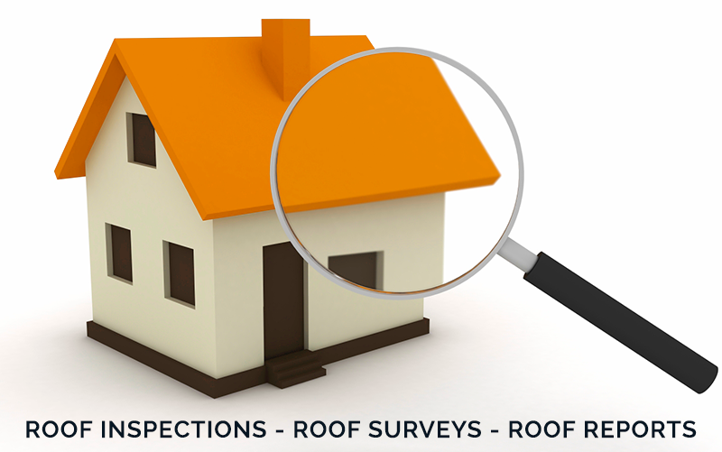 Roof Surveys Woking & Guildford | Raynes Roofing